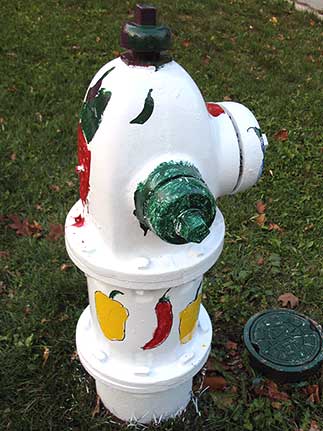 433 S. Oakland - Vegetables (2)